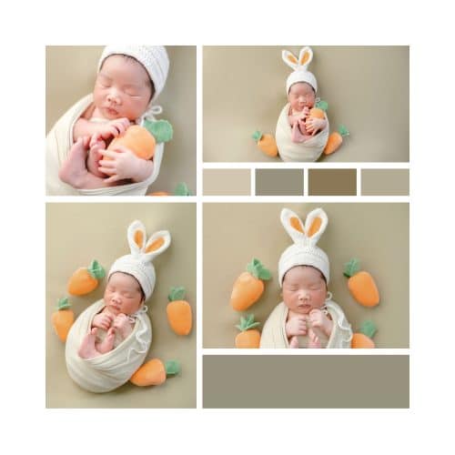 Concept thỏ con hóa thân các bé thành các chú thỏ yêu