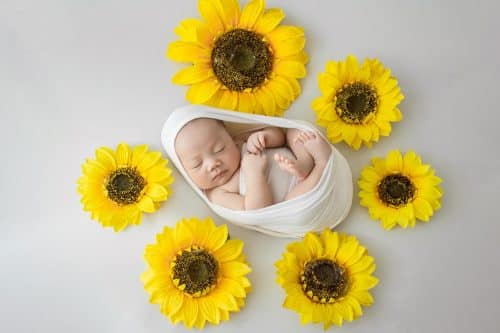 Các concept chụp ảnh Newborn mới nhất năm 2024