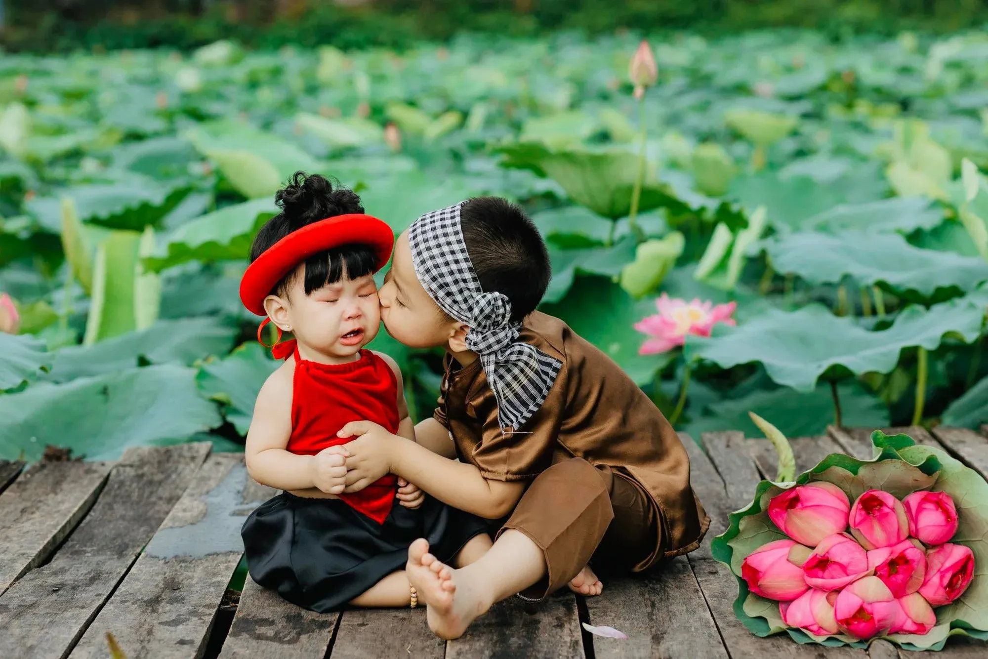 Thời gian chụp sen đẹp nhất từ tháng 5 đến tháng 7 mỗi năm