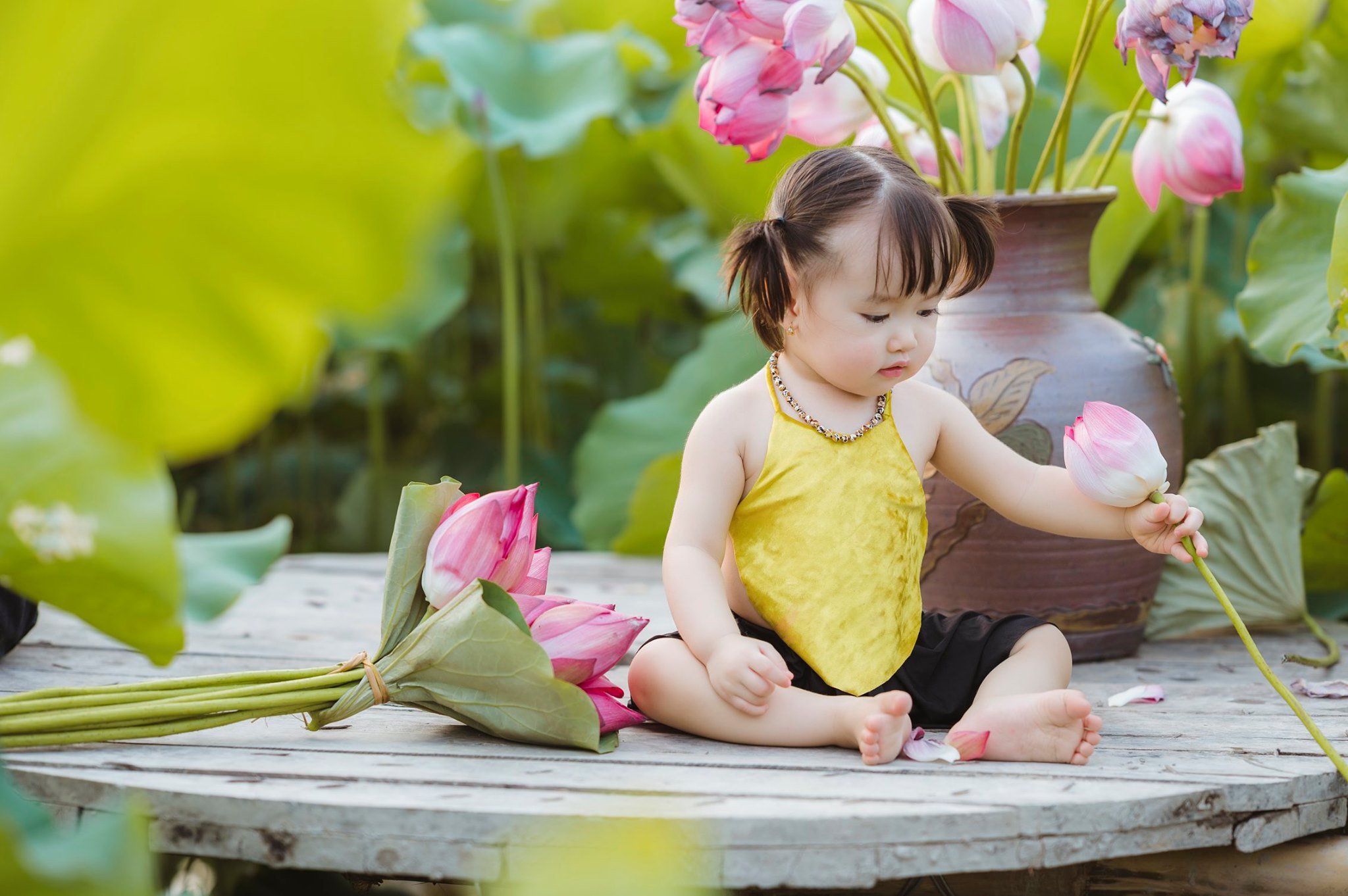 Chụp ảnh sen cho bé tại Hồ Tây