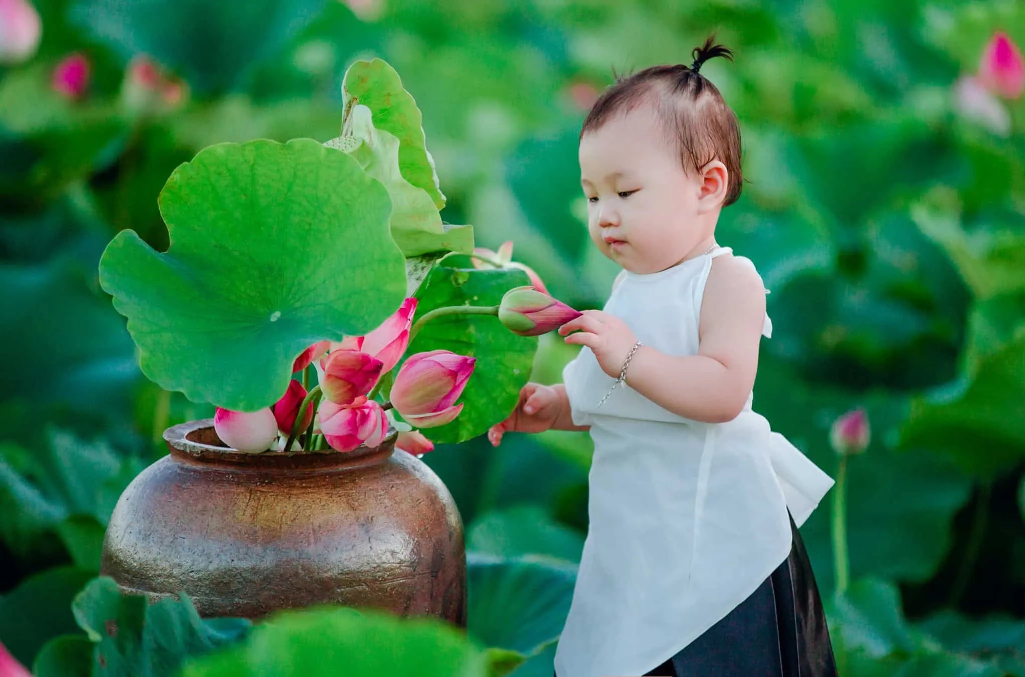 Chụp ảnh sen cho bé Hồ Trị An (Đồng Nai)