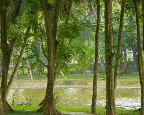 Công viên – khuôn viên cây xanh (nếu muốn không gian mở)