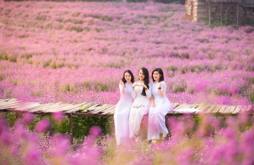 ảnh nhóm bạn nữ mặc váy dài chụp cùng hoa thạch thảo