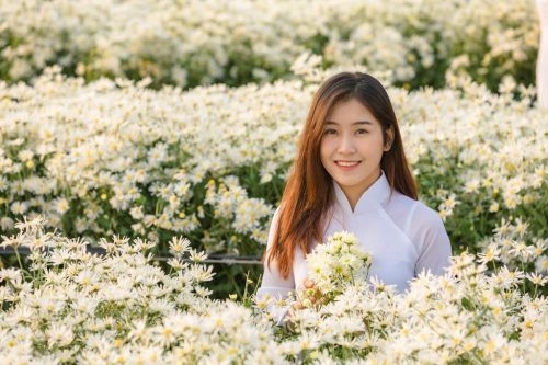 Hình ảnh một bạn nữ mặc áo dài trắng đứng giữa vườn cúc họa mi vào sáng sớm